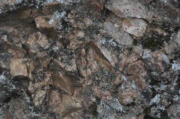 Natural Rocky Surface with Moss and Lichen Texture