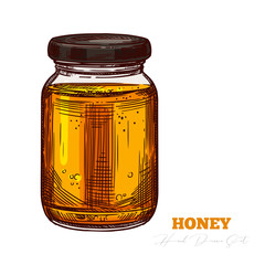 Sketch vector honey packing template isolated on white. Engraving color illustration for beekeeping and apiculture company and business. Hand drawn glass jar full of mead. Bee product