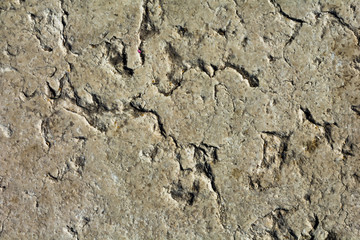 Polished sandstone, grunge stone texture