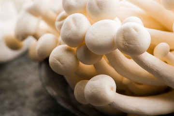 White beech mushrooms, Shimeji mushroom