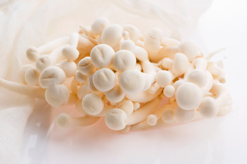 White beech mushrooms, Shimeji mushroom