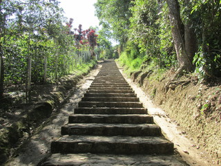 Camino en San Agustin