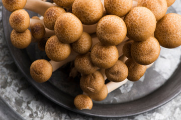 Fototapeta na wymiar Brown beech mushrooms, Shimeji mushroom