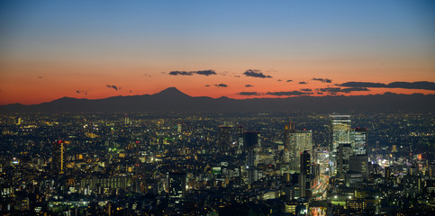 Fototapeta na wymiar Tokyo - Outline of Mount Fuji in the background
