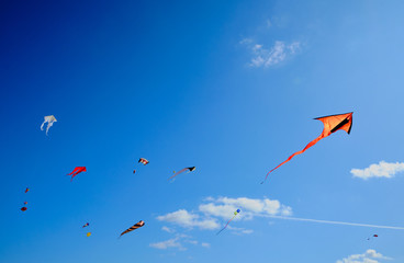 many shaped kites in the blue skies, houses and the beach