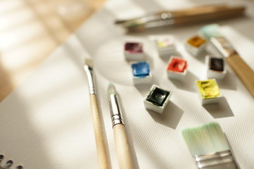 Plastic cells with watercolor paint and various brushes on a white album paper.