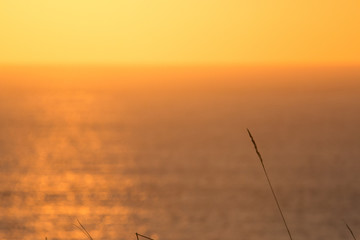 Obraz na płótnie Canvas The setting sun shining in the orange sinking in the sea of Japan