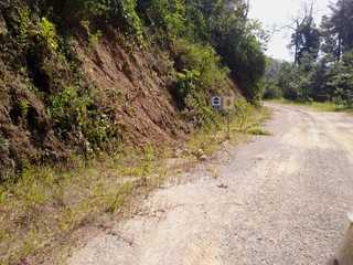 road sign in the forest