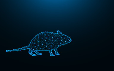 Mouse made from points and lines on dark blue background, rodent wireframe mesh polygonal vector illustration