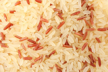 Rice texture background, close up and macro
