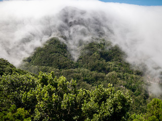 Landsacpe of beautiful mountain top and clouds floating down on the forest