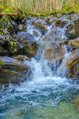 Fototapeta premium Beautiful Mountain River in Canada.