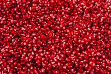 Christmas decoration, red ball isolated on white background.