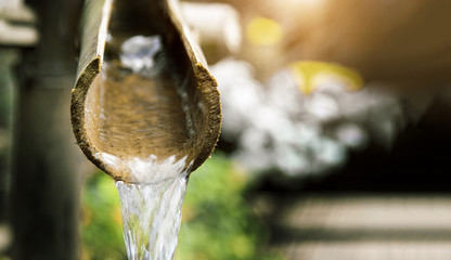 Obraz premium close up water drop from bamboo in zen