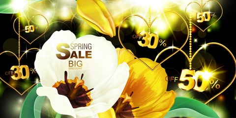 Tulips in the spring backdrop. Promotion, discounts, sale, 30%, 50%, decorative postcard, banner, suitable for holidays: March 8, women's day, poster for spring, birthday