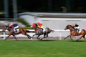 Horse race motion blur, racing horses