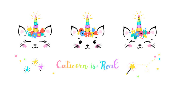 Vector Set Cute Unicorn Cat Head with Floral Wreath for Kids t-shirt Print Design. Magic Caticorn or Kittycorn Nursery Poster. Magical Kitten Face with Unicorn Horn and Flower Crown. Caticorn is Real