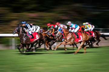 Obraz na płótnie Canvas Horse race motion blur, racing horses