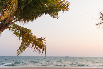 Coconut trees at the beach with the beauty of the sunset. Is a time that is perfect for recreation.