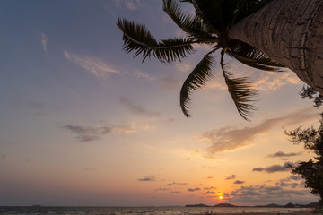 Plakat Coconut trees at the beach with the beauty of the sunset. Is a time that is perfect for recreation.