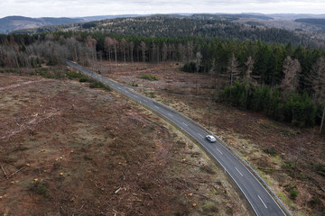 Fototapeta premium a street with a car driving from above in a forest landscape