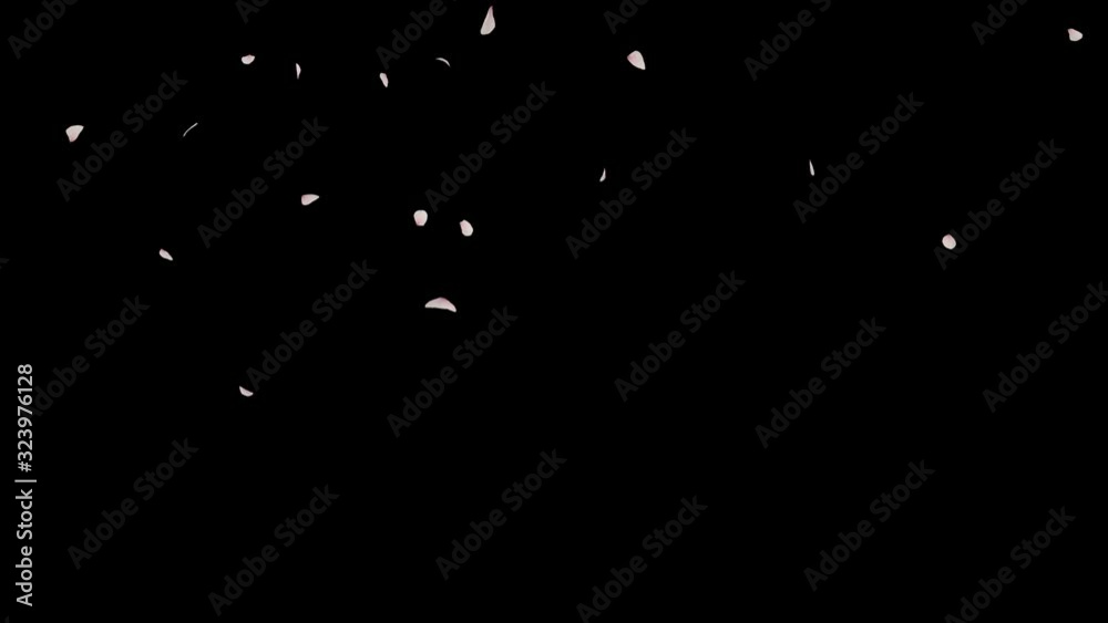 Wall mural cherry blossom realistic petals falling 2 clip.element footage.fall start to end and loop animation.