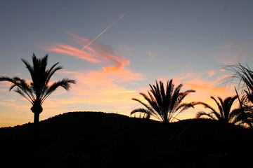 silueta de palmeras en el atardecer entre nubes