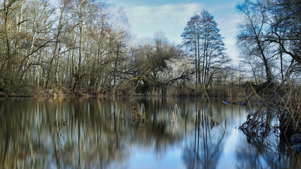 Obraz premium Kleiner Teich02