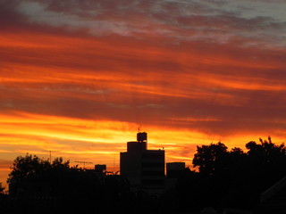 Siluetas de edificio y árboles al atardecer