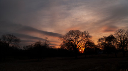 Obraz na płótnie Canvas Sunrise over winter trees