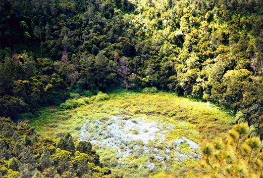 vista del cratere del vulcano dormiente di Trou aux Cerfs, noto anche come Vulcano Murr situato nella citt&agrave; di Curepipe nell'isola Mauritius, Africa