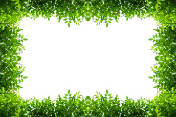 green leafs frame card on white background.