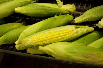 Corn section of the market