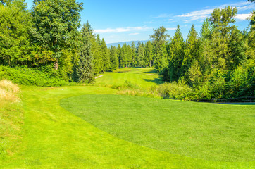 Golf course with gorgeous green.