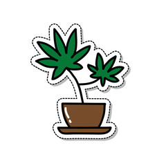 marijuana plant doodle icon, vector illustration