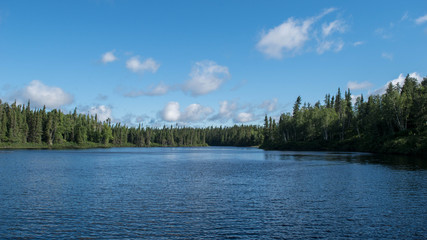 landscape of the gaspésie in Quebec. Photograph of a lake with trees in summer