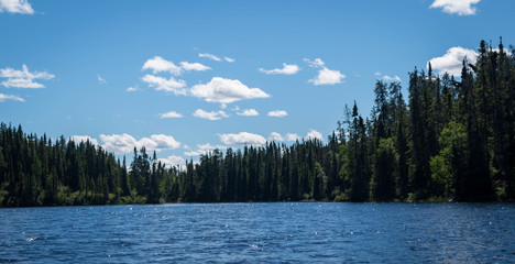 landscape of the gaspésie in Quebec. Photograph of a lake with trees in summer