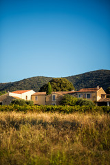 Fototapeta na wymiar Vertical picture of old traditional stone provencale farmyard in Provence, France with Luberon hill on background in hot summer morning. Travel tourism destination Provence
