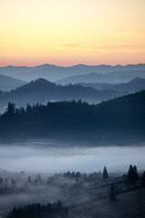 Mist on valley in first rays sun, Europe, Romania,Bucovina.  Wallpaper vertical landscape background
