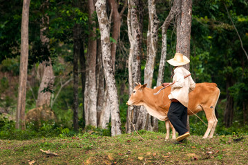 Azjatycki pasterz z krową