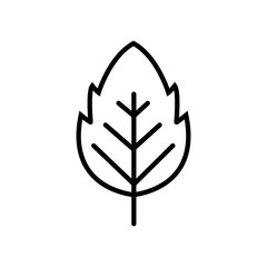 Leaf line icon, logo isolated on white background