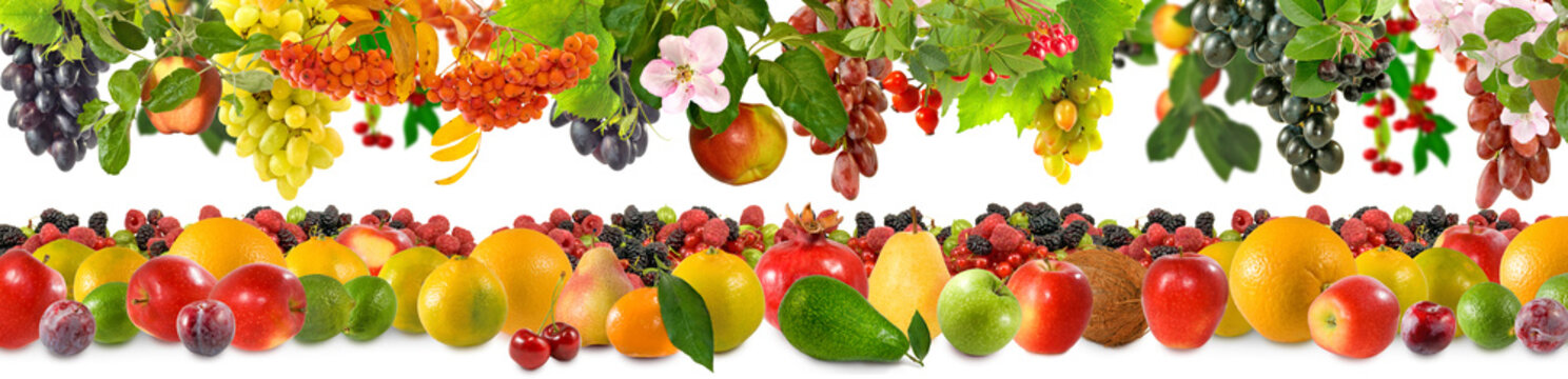 closeup image of a large variety of fruits on a white background