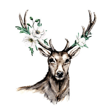 Deer with watercolor flowers anemone and leaf. Wildlife, animal illustration. Isolated on white. Hand drawing decoration for children's parties, for print on cards, tattoo and other.