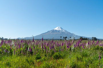 Mount Taranaki New Zealand