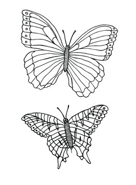 Vector set bundle of two hand drawn doodle sketch butterfly isolated on white background