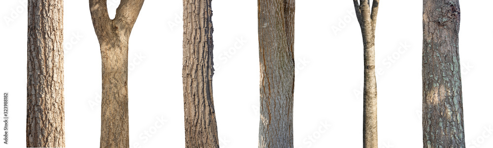 Aufkleber isolated set tree trunk collection on white background.