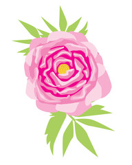 A vintage peony isolated on a white background for design or print, a flat vector stock illustration with pink peony or roses flowers and green leaves on dishes or cloth