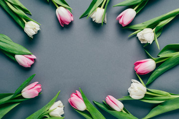 Top view of frame of tulips on grey background with copy space