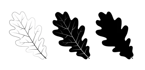 Fotobehang Vector set of oak leaves, outline and silhouette. © gossip7