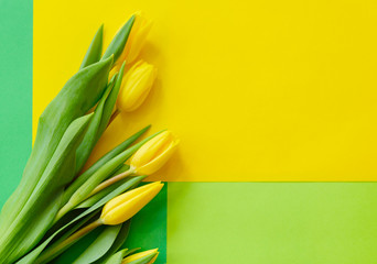 yellow tulips on a geometric yellow-green background, greeting card for happy Easter, copy space